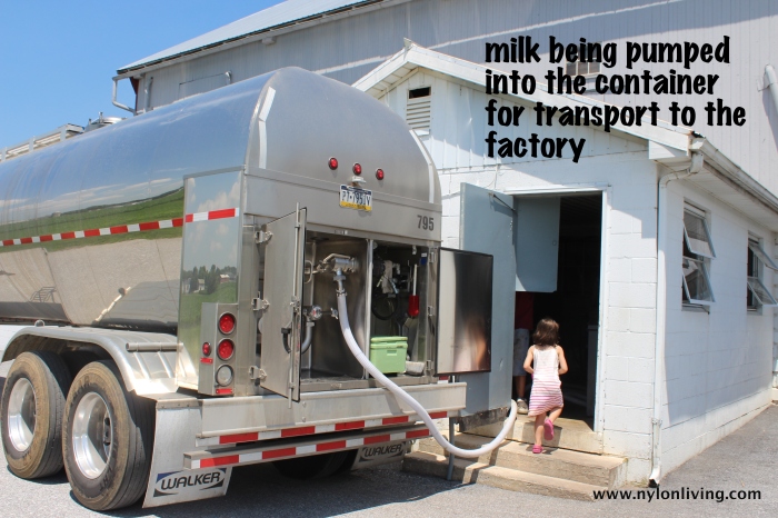 milk truck